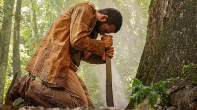 O jequitibá é apresentado na novela como a árvore-símbolo da ligação entre José Inocêncio e a própria terra