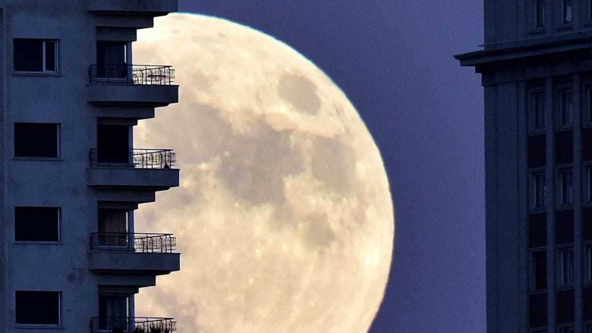 Nem toda lua cheia é "super" Apesar de termos de 12 a 13 luas cheias por ano, apenas três ou quatro costumam se enquadrar na categoria de superlua/ Adam Cairns, The Columbus Dispatch
