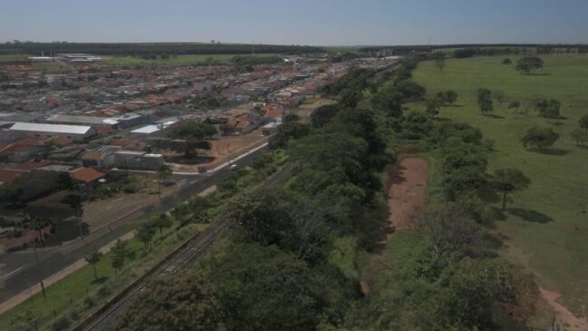 Vale ressaltar que a data festiva é válida apenas dentro dos limites do município de Bálsamo