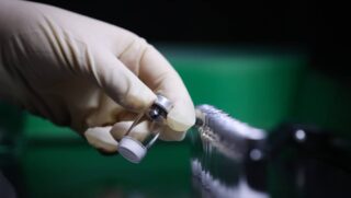 Desde que a dengue começou a circular no país, em 1980, ela já se consolidava como um sério problema de saúde pública