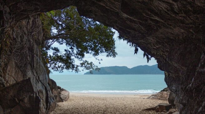 Cercada pela Mata Atlântica, Ubatuba oferece mais de cem praias, um verdadeiro paraíso para quem busca tranquilidade ou aventura