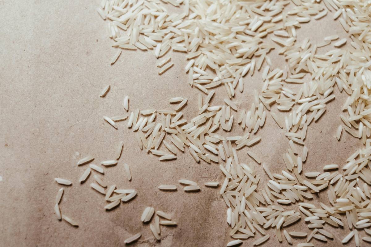 A relação de Cachoeira do Sul com o arroz é antiga e definidora - Pexels