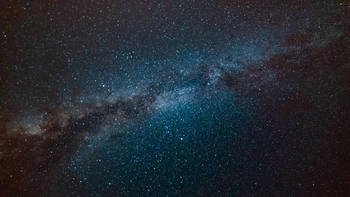 Animal tem capacidade de viver até mesmo no espaço - Pexels