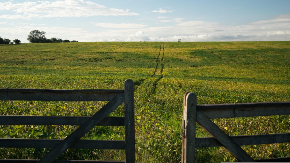 Espírito gaúcho: a tradição do homem do campo ainda é muito forte e respeitada / Pixabay