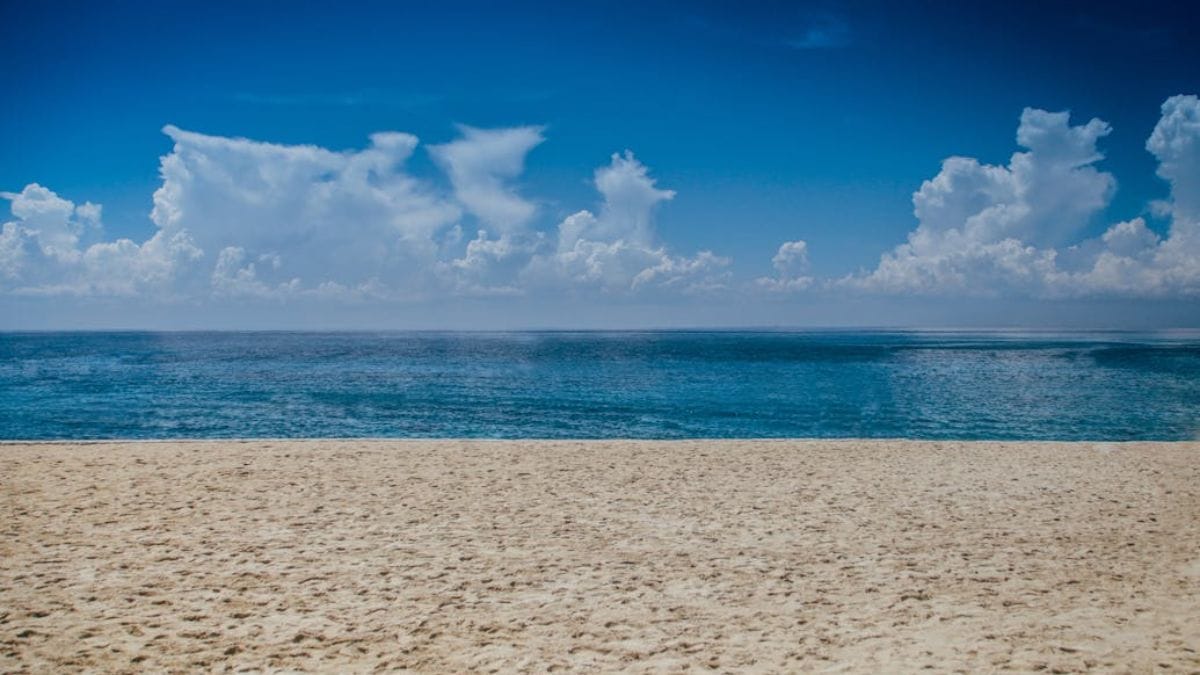 Algumas praias do litoral de São Paulo proíbem a prática de cozinhamento de alimentos (Clem Onojeghuo/Pexels/Imagem Meramente Ilustrativa)