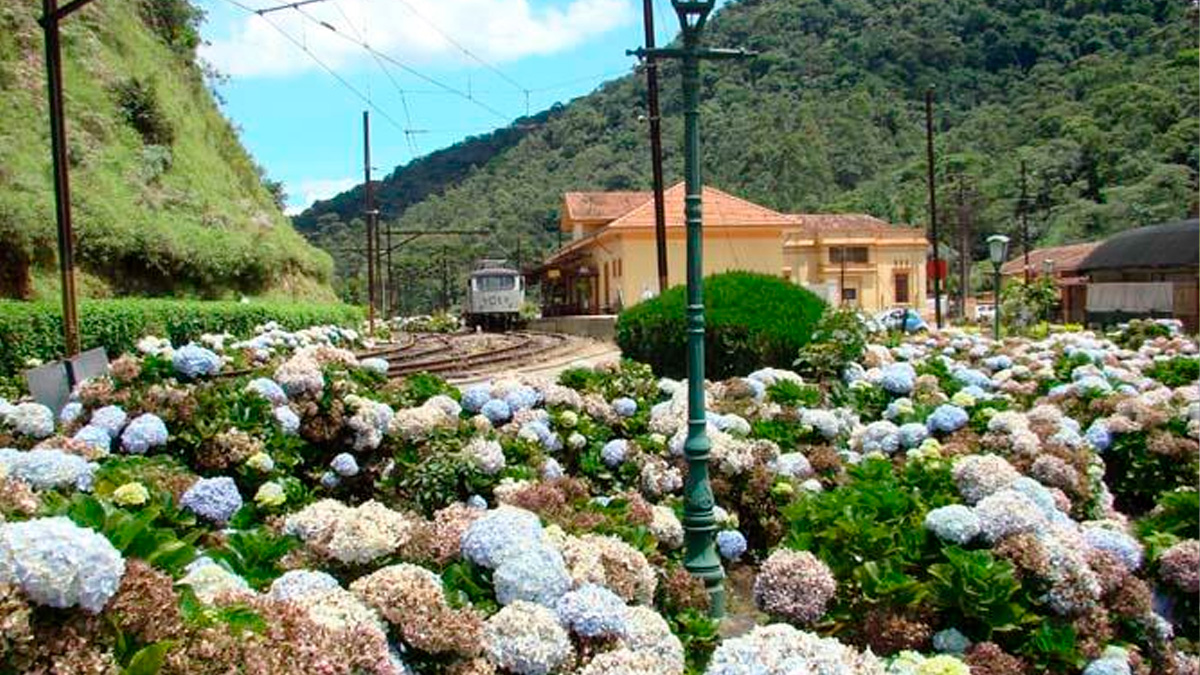 Reprodução/Prefeitura Santo Antônio do Pinhal