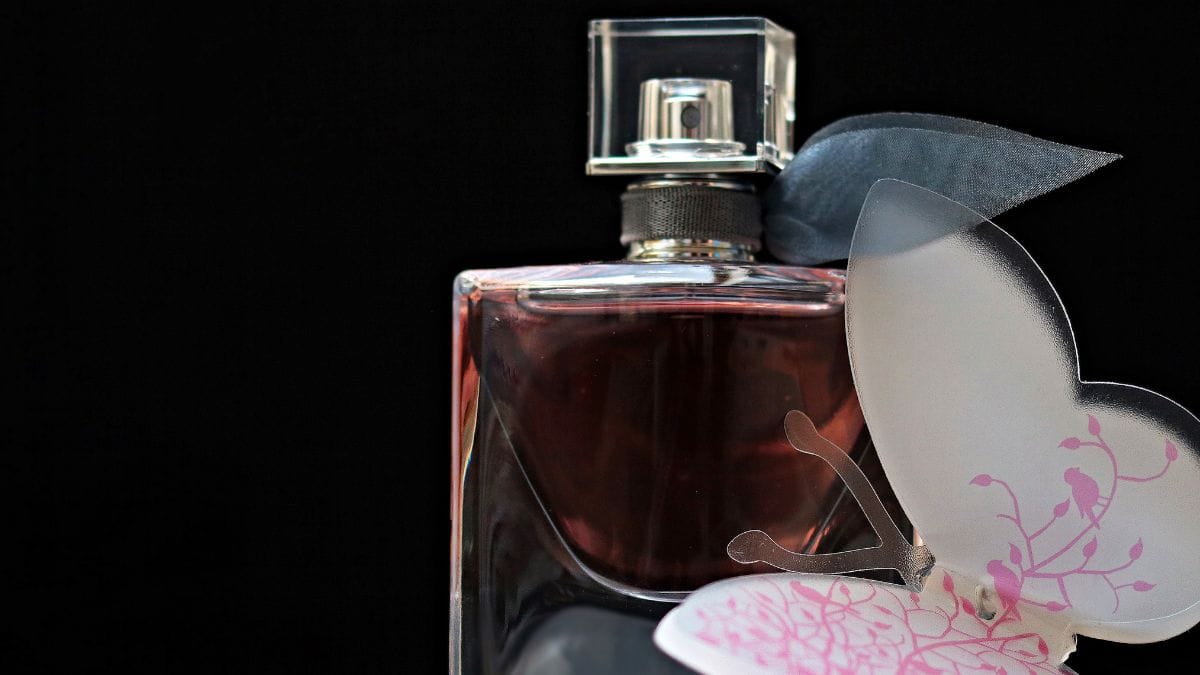 Egípcios foram pioneiros no uso de fragrâncias para cuidados pessoais e práticas espirituais / Pixabay