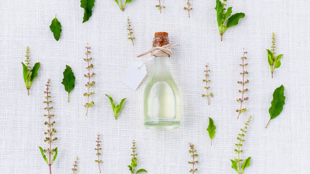 Na Grécia e em Roma, os perfumes se popularizaram como símbolos de status e bem-estar / Pixabay