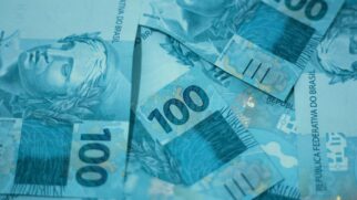 Muito além do tempero, o louro é utilizado como amuleto para prosperidade e energia positiva