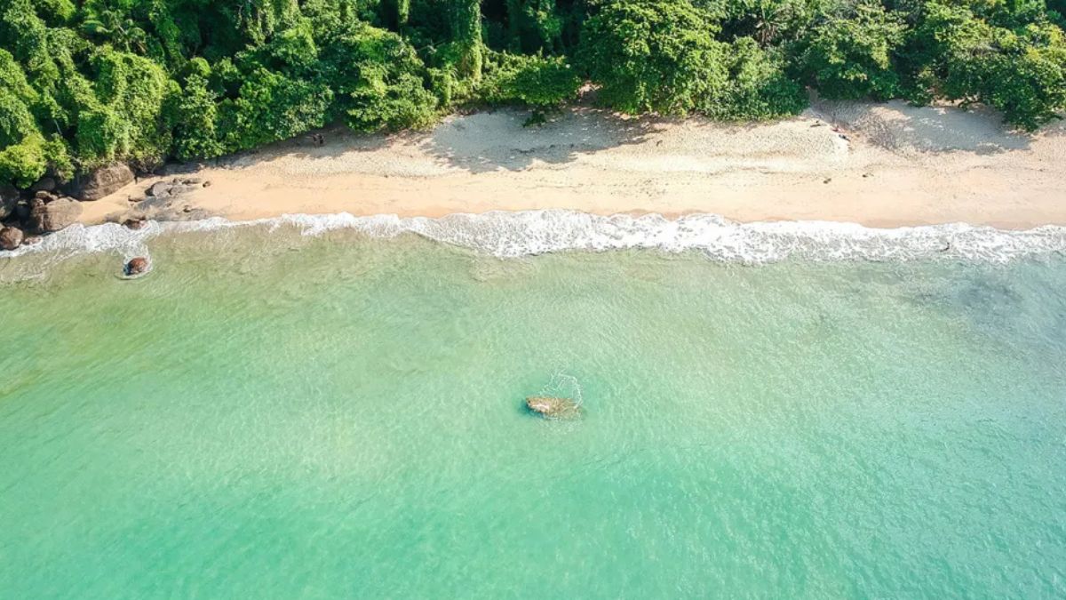 10 PRAIA DO ALTO A Praia do Alto é o destino ideal para quem busca tranquilidade e contato direto com a natureza em Ubatuba. Mais reservada e pouco movimentada, ela só pode ser acessada por trilha, o que ajuda a manter o clima quase deserto do local/CKturistando