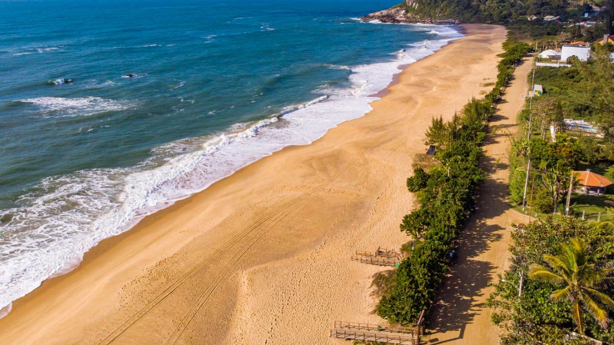 Viver no topo do luxo: coberturas com até 490 m², piscinas aquecidas e vistas deslumbrantes para o mar e a floresta. /divulgação