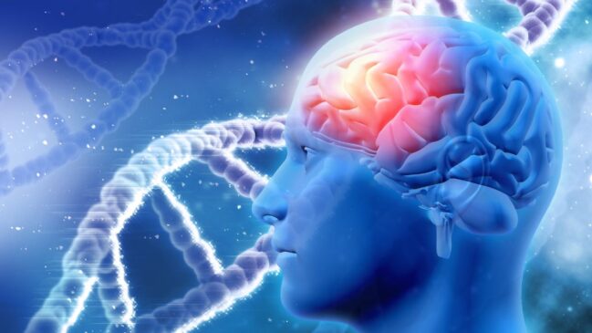 Representação do cérebro e do DNA destaca o papel do gene GRIN2A na comunicação neuronal e no risco aumentado de desenvolver esquizofrenia