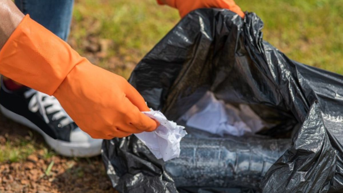 Produzidas com matérias-primas de origem vegetal, bolsas compostáveis se degradam rapidamente e não liberam substâncias tóxicas. /Freepik