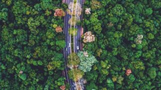 Planejamento urbano, sustentabilidade e participação da população explicam o destaque nacional
