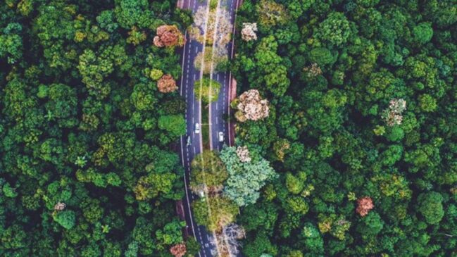 Planejamento urbano, sustentabilidade e participação da população explicam o destaque nacional