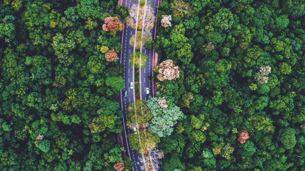 Planejamento urbano, sustentabilidade e participação da população explicam o destaque nacional