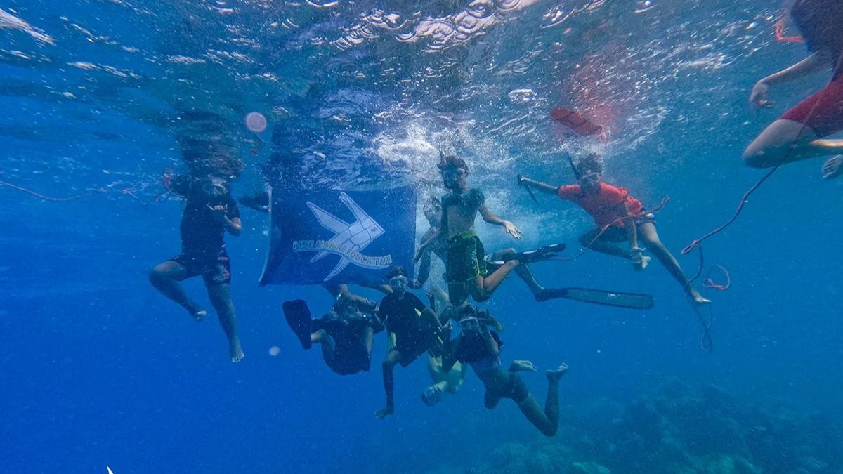 O fenômeno, registrado no Pacífico e no Índico quase no mesmo horário, ajuda a ciência a entender os impactos das mudanças climáticas nos oceanos/Benoit Bixel