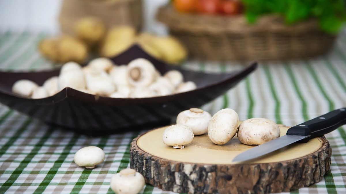 Mogi das Cruzes é responsável por cerca de 80% de toda a produção nacional de cogumelos