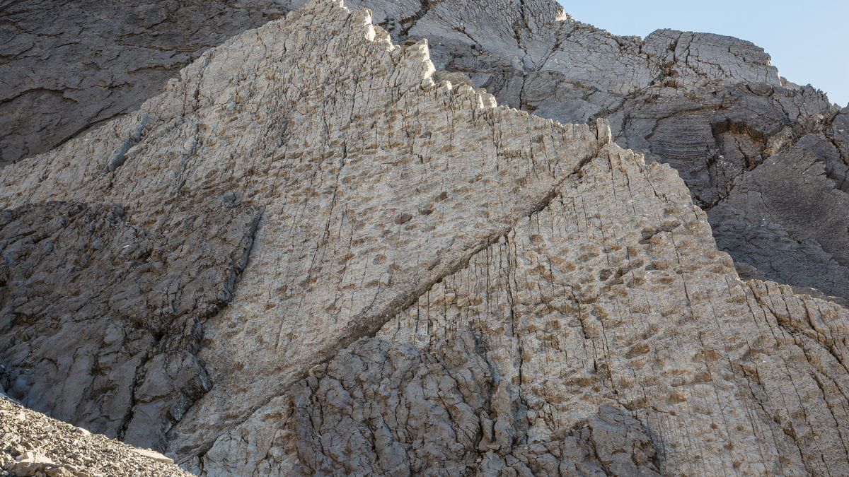 Paredões de dolomita quase verticais concentram centenas de pegadas fossilizadas, impressas quando a região ainda era uma extensa planície costeira no fim do Triássico, há cerca de 210 milhões de anos/ Elio Della Ferrera/Arquivo PaleoStelvio