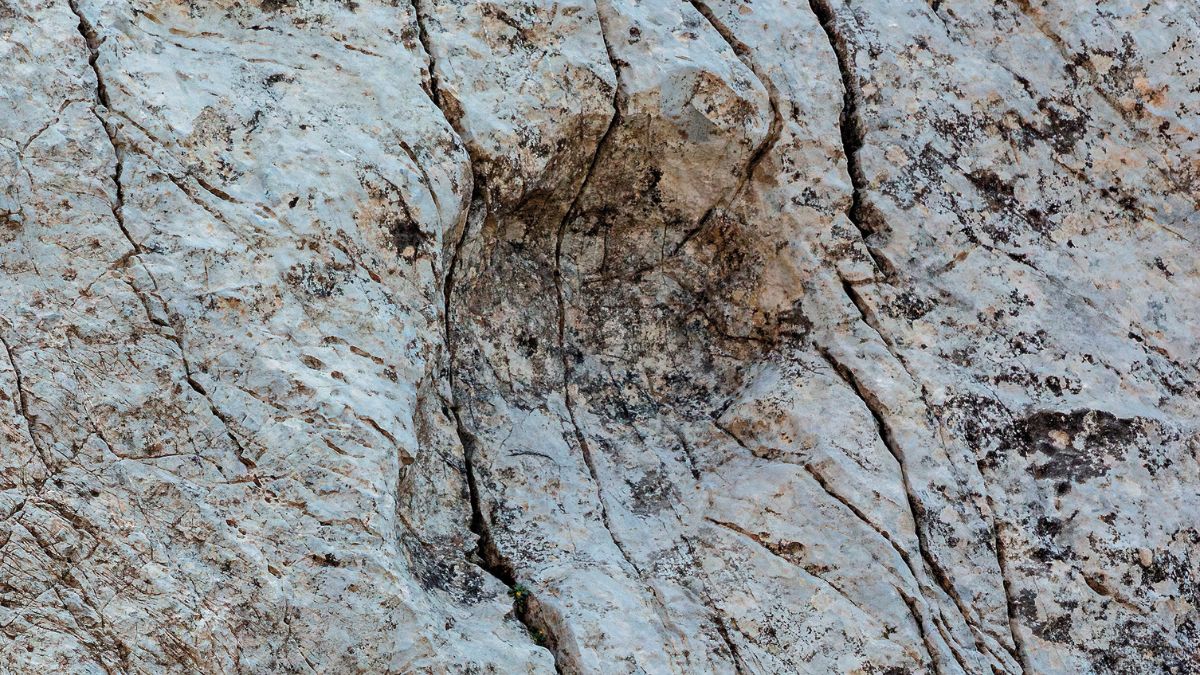 Pegada isolada preservada na rocha dolomítica revela a profundidade e o formato do pé do animal, com marcas bem definidas que resistiram a milhões de anos de erosão/ Elio Della Ferrera/Arquivo PaleoStelvio