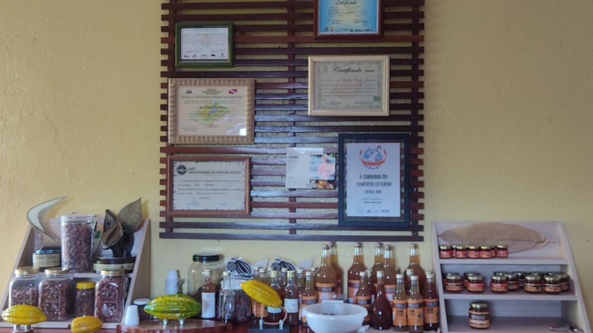 A Sabor e Arte do Cacau está localizada no Sítio Lindo Dia, no km 76 da Rodovia Transamazônica. O espaço reúne uma lavoura com diversidade de cacau fino e a produção artesanal de chocolates, além de geleias e licores. A marca acumula diversos prêmios tanto pela qualidade do chocolate quanto pela variedade de produtos derivados do cacau/ Prefeitura de Medicilândia