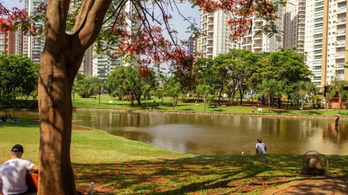 A arborização densa ajuda a mitigar o calor extremo e reduzir os riscos de enchentes severas na capital / iStock