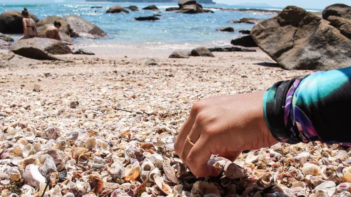 06 PRAIA DAS CONCHAS A Praia das Conchas é pequena, reservada e de beleza singular. Com águas claras e geralmente rasas, chama atenção pelo cenário rústico e pela grande quantidade de conchas que substituem a areia em boa parte da faixa de praia, formando um visual diferente e encantador/CKTuristando