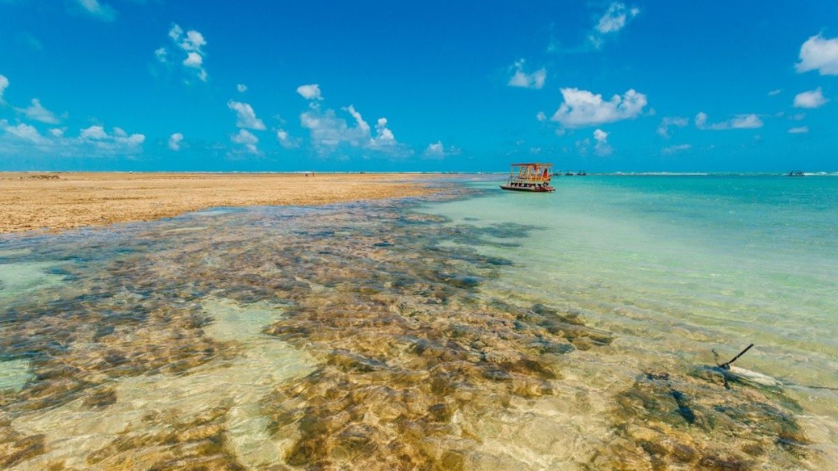 6. Praia da Ferradura (RJ): Em Búzios, seu formato de baía garante águas tranquilas, ideais para crianças e para esportes como stand up paddle. Oferece infraestrutura completa, com quiosques, restaurantes e uma ampla oferta de hospedagem. Divulgação/Prefeitura