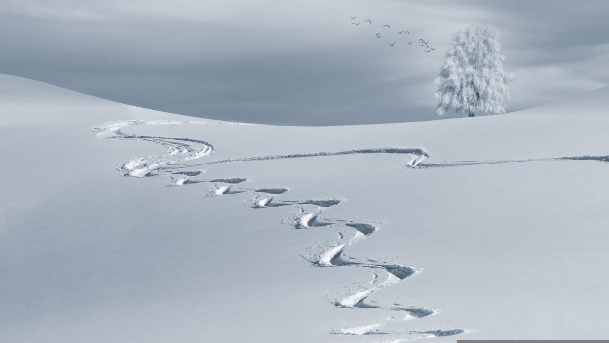 Além das pistas, KitzSki oferece opções de lazer como snowparks, tobogã e gastronomia típica nas encostas / Pixabay