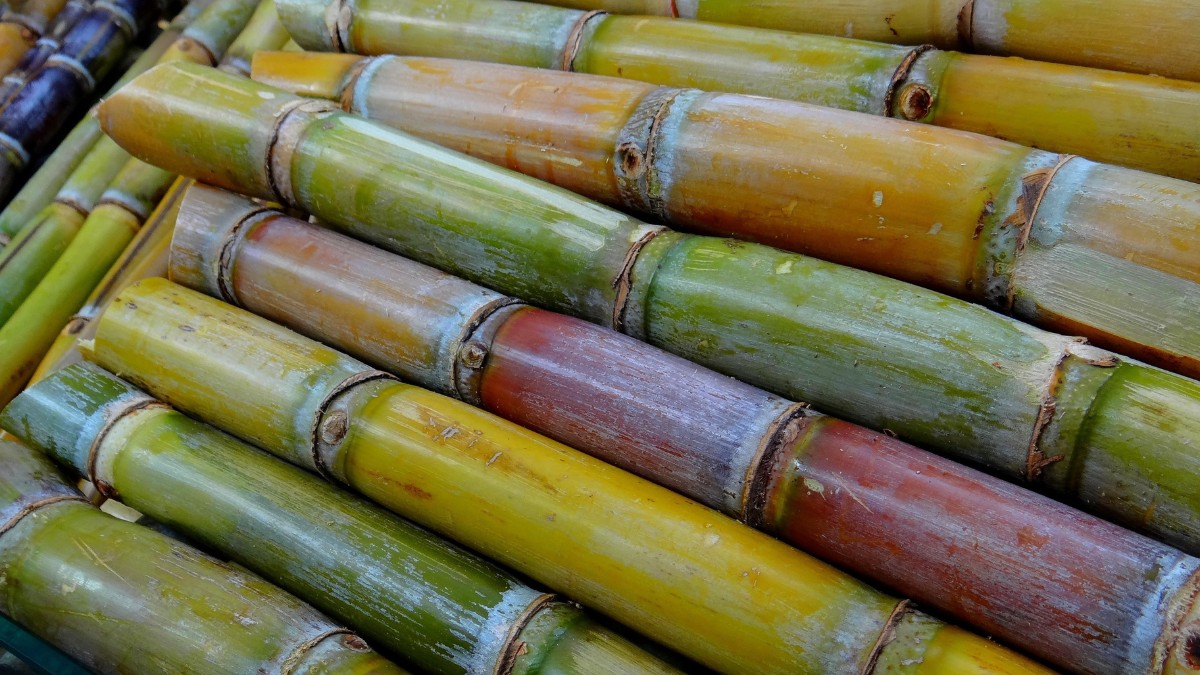 Caldo de cana caiana / Pixabay