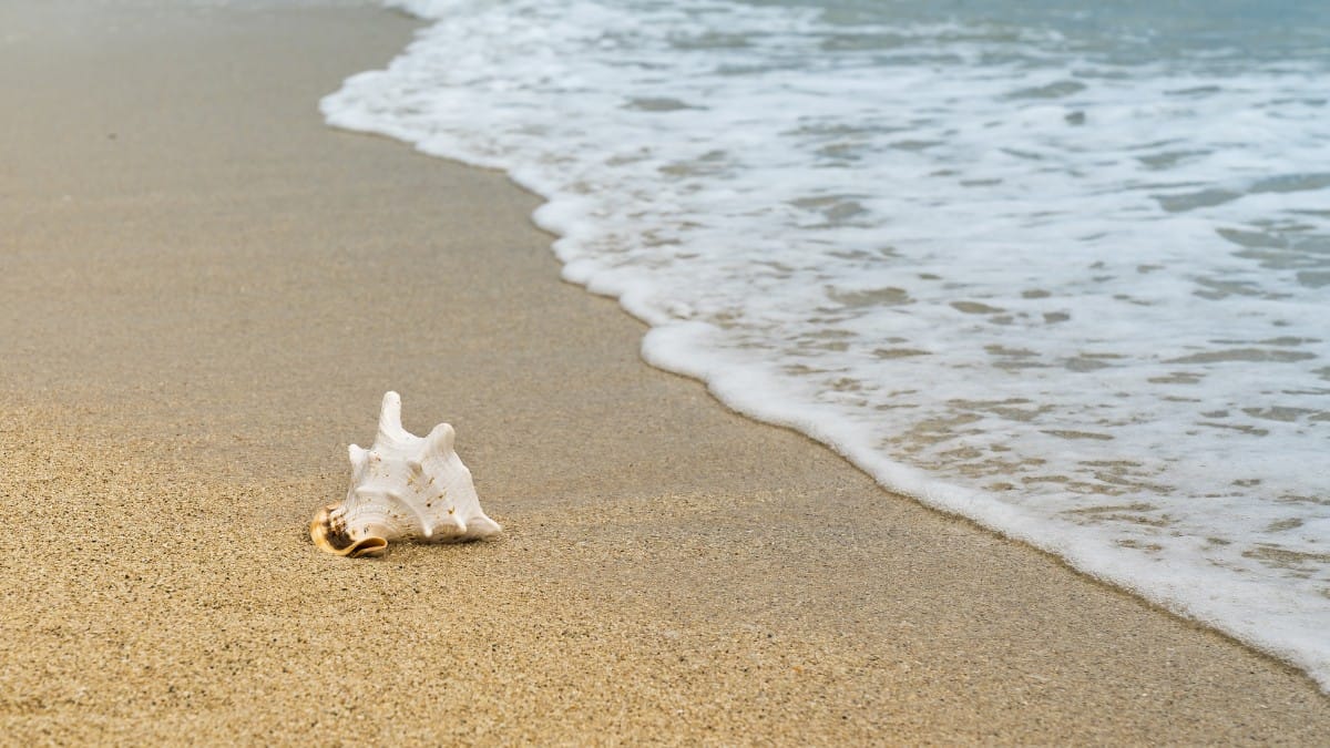 Pular sete ondas na virada é tradição ligada à sorte e a novos caminhos / Pixabay