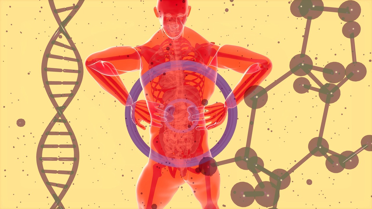 Entre pratos elaborados, presentes e a quebra da rotina, uma dúvida importante aparece: como os rins reagem a essa sequência de indulgências?