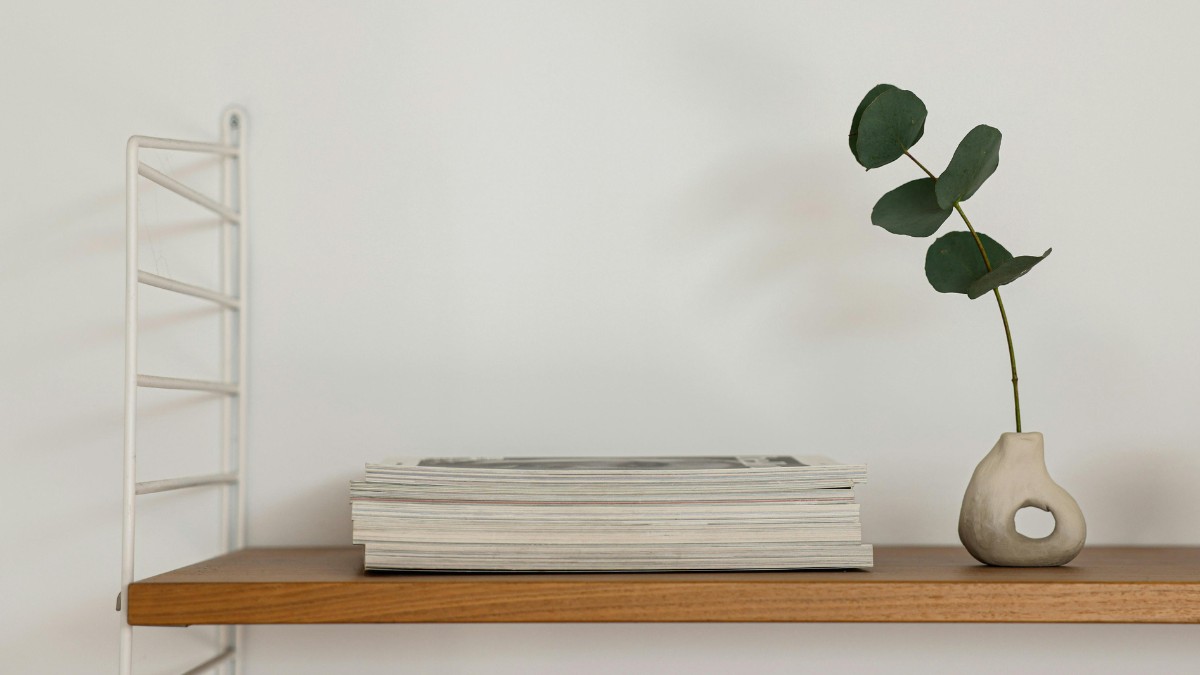 Ambientes com plantas vivas tendem a ter circulação de energia mais leve e fluida / Pixabay