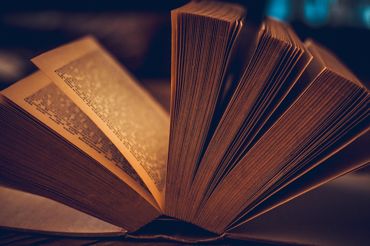 Insira a leitura na rotina/Pixabay