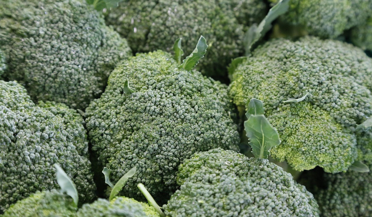 Antes de colocar no carrinho, observe bem: pequenos detalhes indicam se o brócolis está no auge do sabor e dos nutrientes/Pixabay