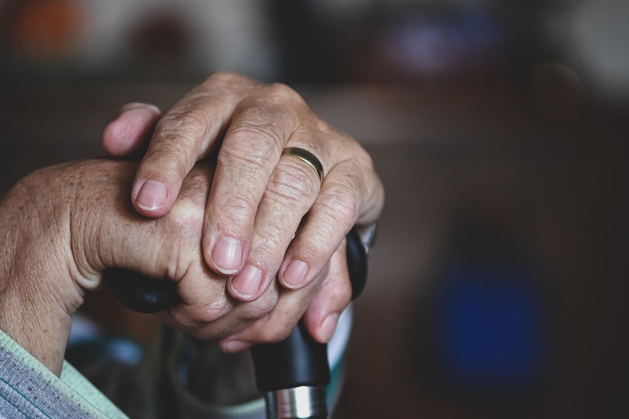 Com 230 pessoas acima dos 100 anos na região, Santos se destaca como referência em envelhecimento saudável/Pixabay