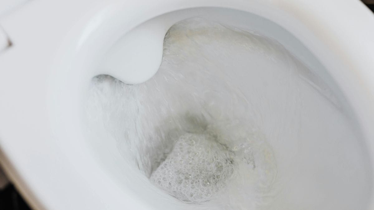 Ventilação diária é essencial: banheiros pouco arejados seguram moléculas de mau cheiro por muito mais tempo/Pexels