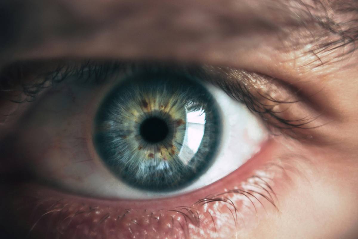 Tecnologia implantada atrás da retina permite que pacientes voltem a ler após anos de perda visual /Pexels