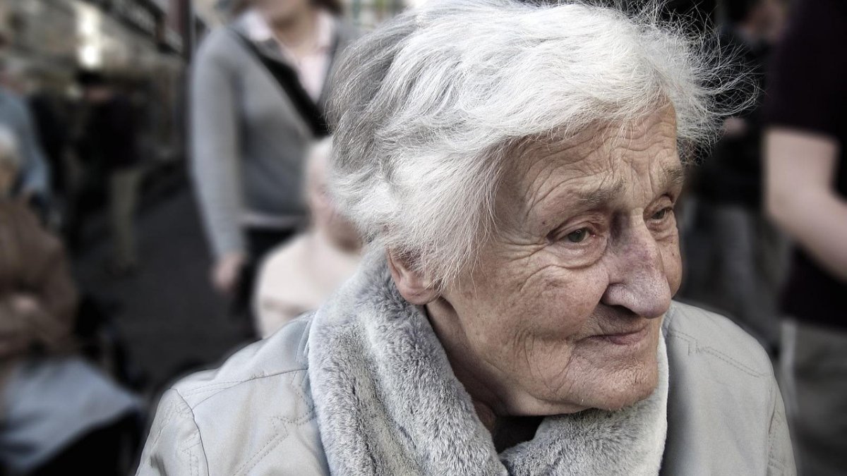 Estudos sobre telômeros ajudam a entender como o tempo afeta a divisão celular / Pixabay