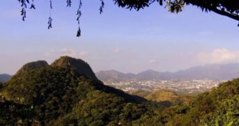 Mesmo cercada por avenidas, comunidades e condomínios, a Pedra Branca abriga uma biodiversidade impressionante