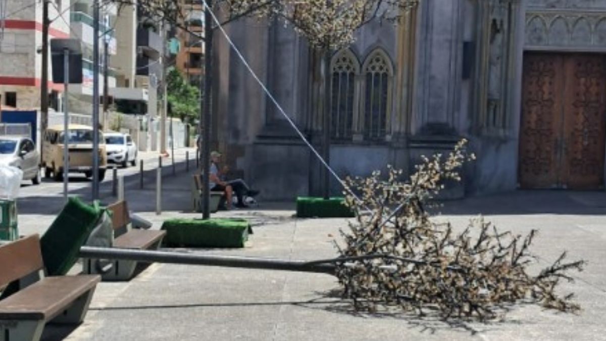 Estrutura caiu em área movimentada e gerou susto entre pedestres