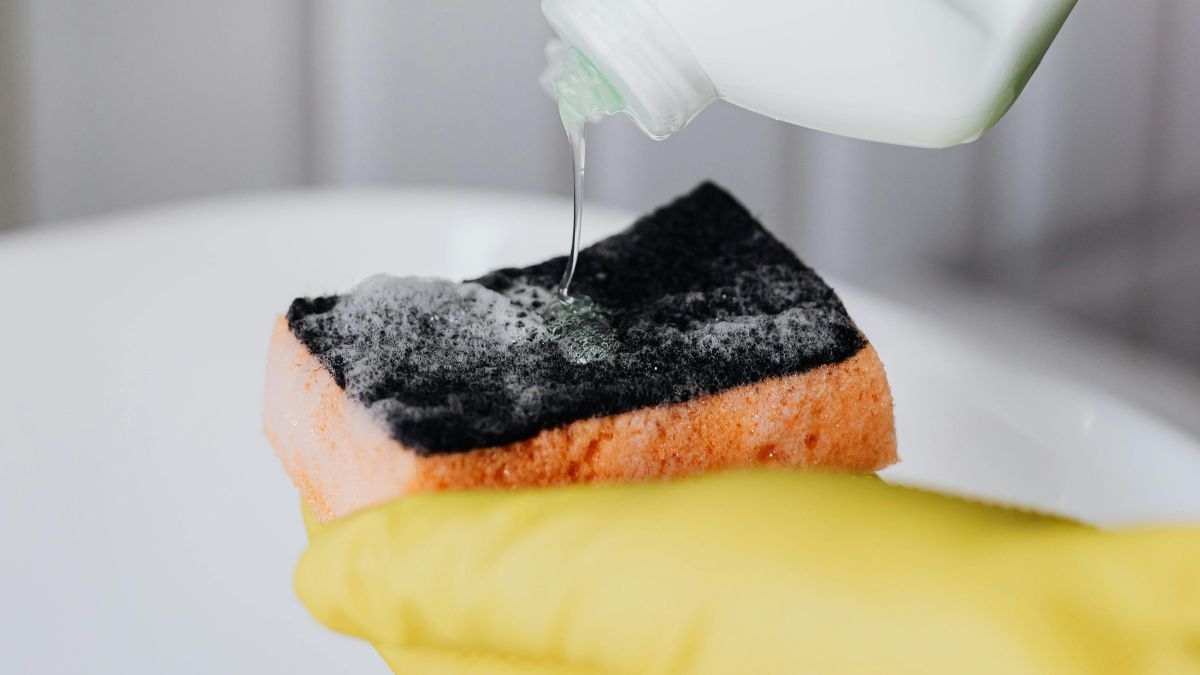 Um dos usos mais surpreendentes é como removedor de pelos. O lado macio da esponja seca, através da eletricidade estática, é imbatível para limpar sofás e roupas de quem tem pets/Pexels