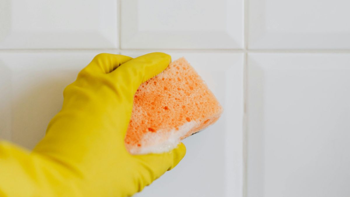 Para quem ama jardinagem, a esponja serve como um dreno natural. Colocada no fundo do vaso antes da terra, ela retém a umidade ideal e impede que a água escorra em excesso, protegendo as raízes/Pexels