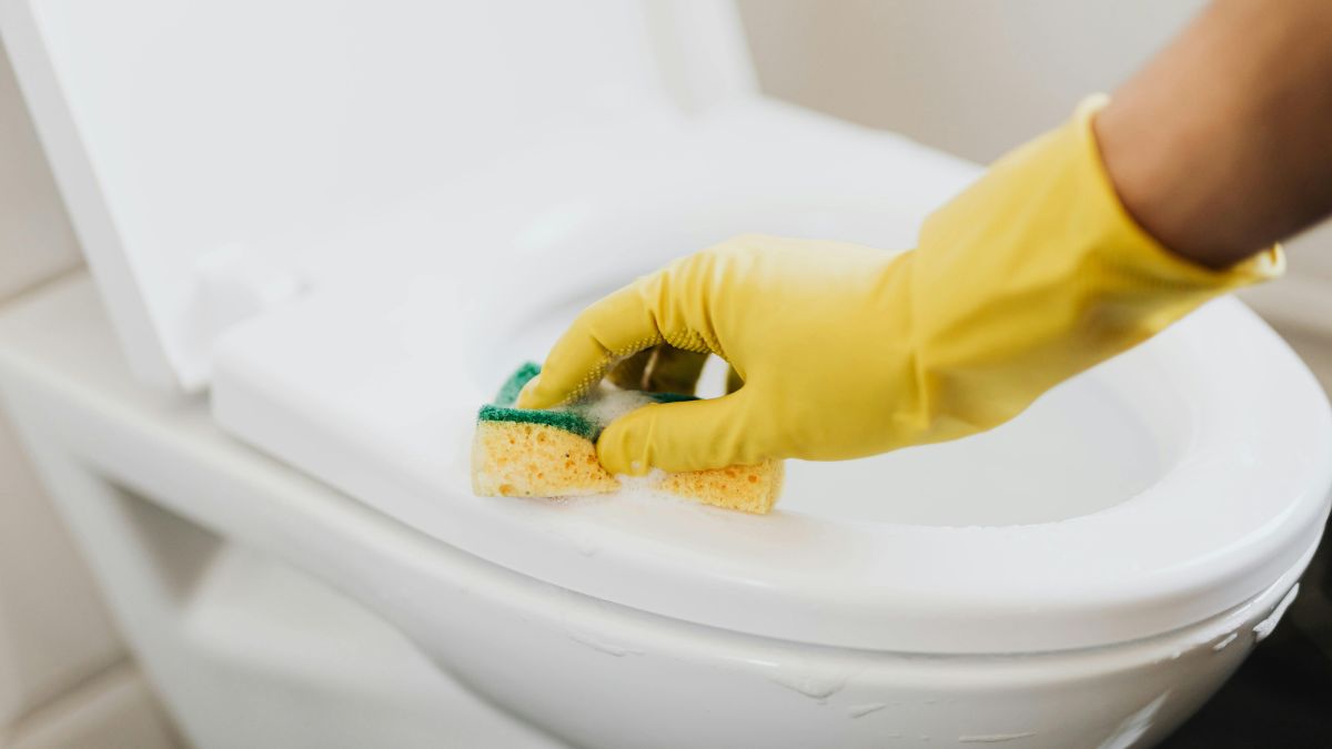 Já dentro da geladeira, ela atua como um potente neutralizador de odores: basta umedecê-la levemente com bicarbonato de sódio e deixá-la em um canto estratégico para absorver cheiros desagradáveis de alimentos/Pexels