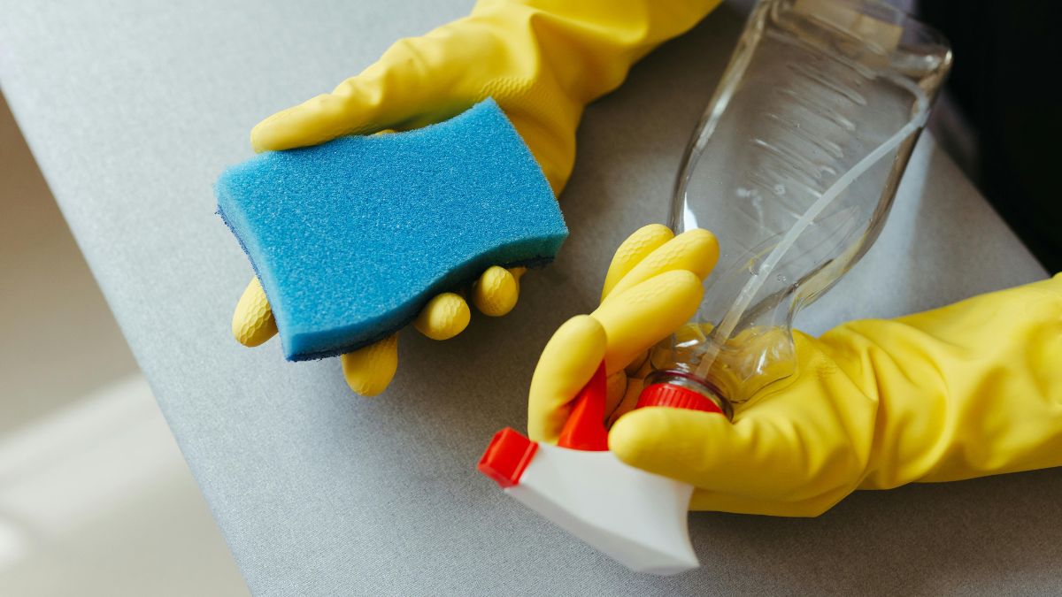 A versatilidade continua na lavanderia e no ateliê. A esponja pode virar um sachê de limpeza quando embebida em vinagre e colocada dentro de sapatos ou atrás do vaso sanitário para desodorizar o ambiente/Pexels