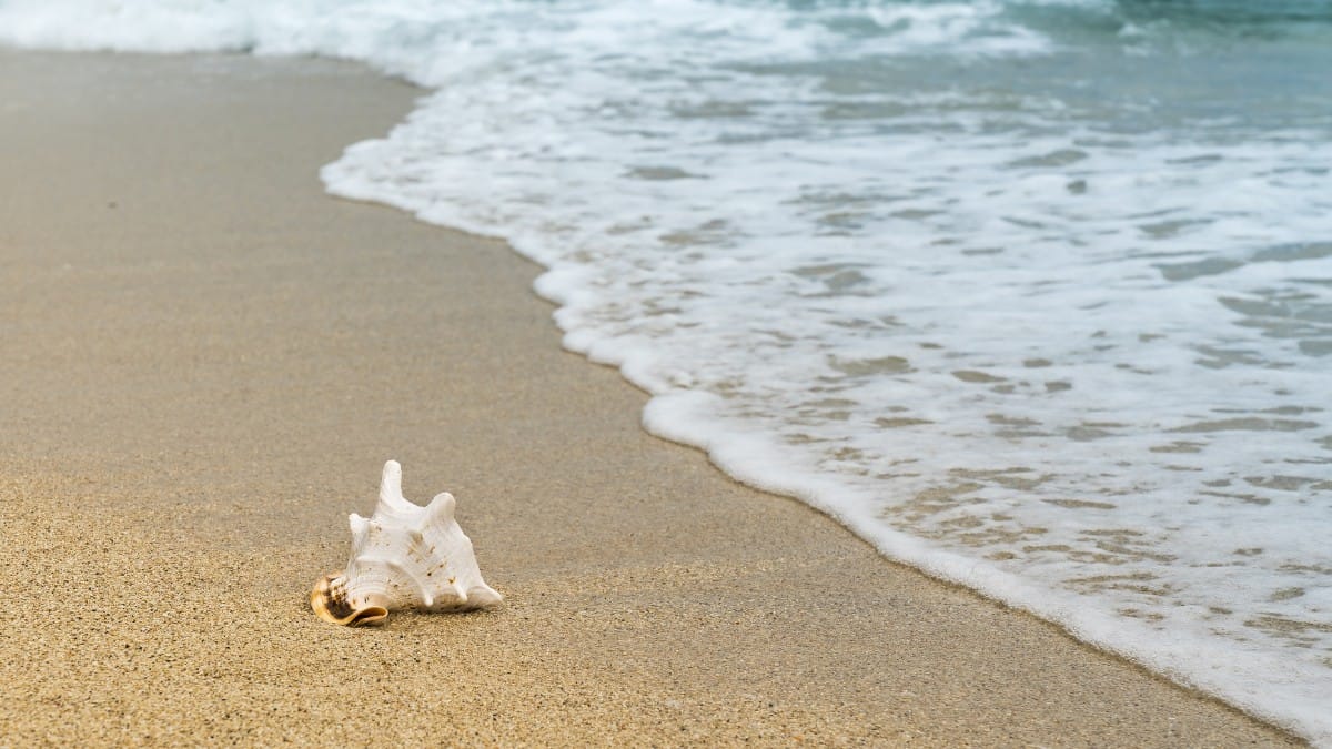 Uma tradição comum é pular as sete ondas, para quem mora ou está no litoral, e fazer pedidos para o ano que se inicia / Pixabay