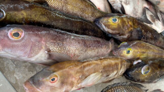 Com a chegada do fim do ano, cresce a busca pelos ingredientes tradicionais das festas e, junto com ela, o preço do bacalhau dispara