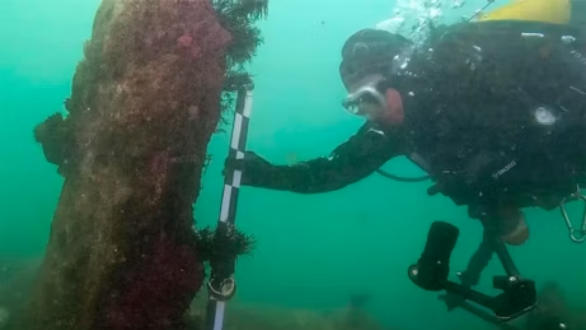 O achado foi feito nas proximidades da ilha de Île de Sein, na região da Bretanha