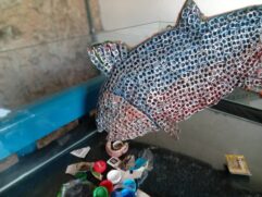 Diversas peças de decoração, pneus e objetos retirados dos rios estão no Museu Conceição de Itanhaém