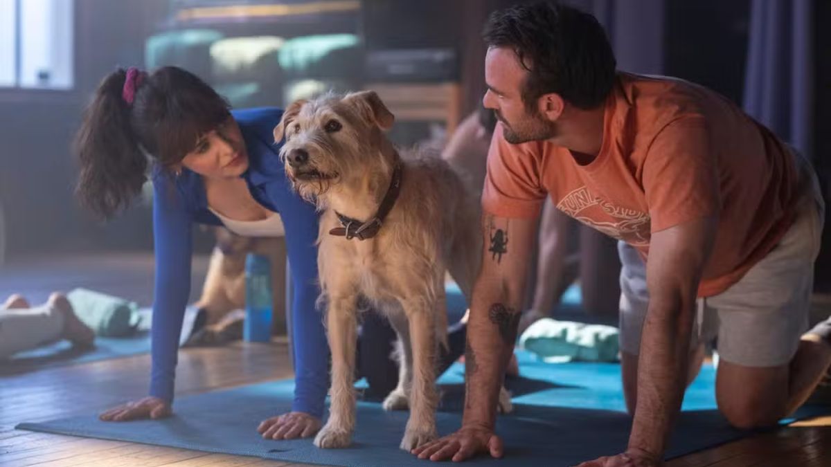 'Merv' é estrelado por Charlie Cox e Zooey Deschanel e aposta não apenas no Natal, mas também no cãozinho como protagonista (MGM/Divulgação)